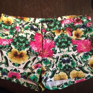 Islandia printed jean shorts size 11